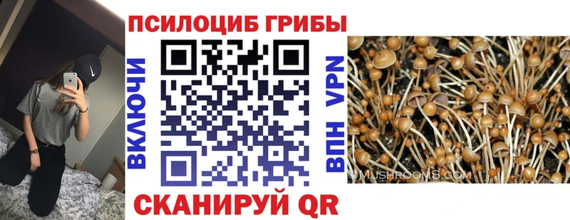 Псилоцибиновые грибы Psilocybine cubensis мега зеркало Выкса