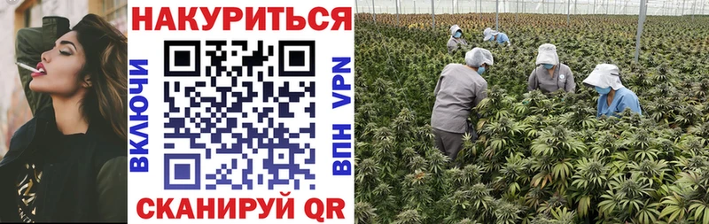 Каннабис тримм хочу наркоту Выкса
